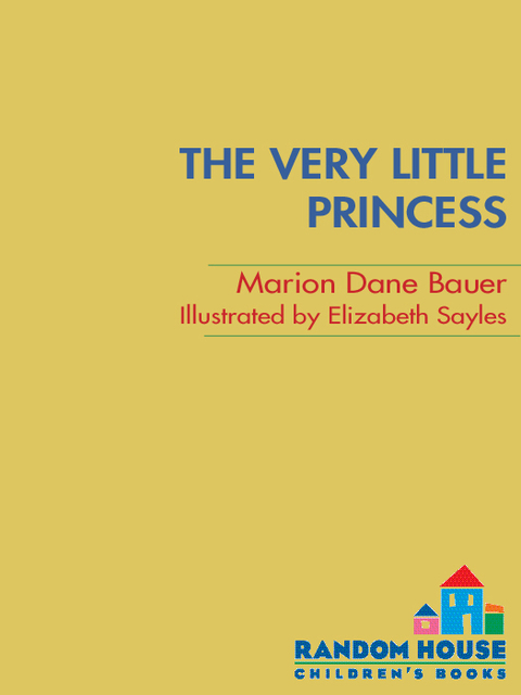 Cover image for book The Very Little Princess: Zoey's Story