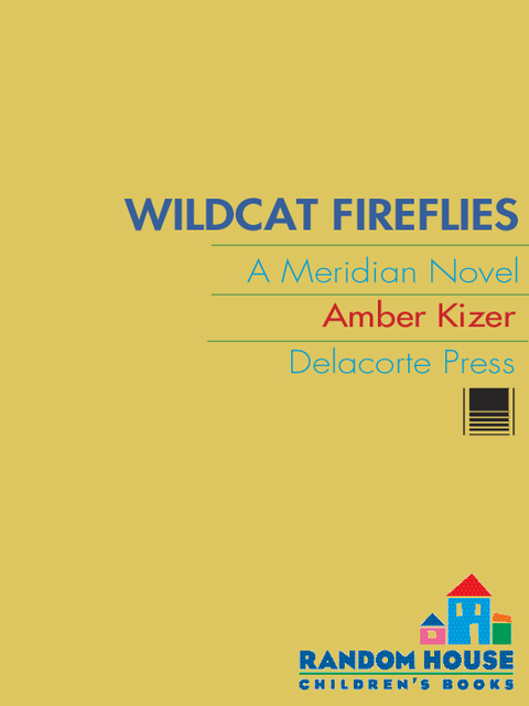 Cover image for book Wildcat Fireflies