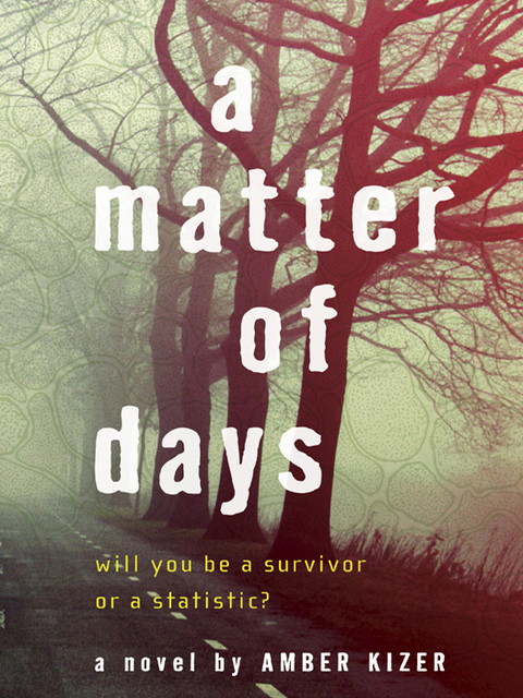 Cover image for book A Matter of Days