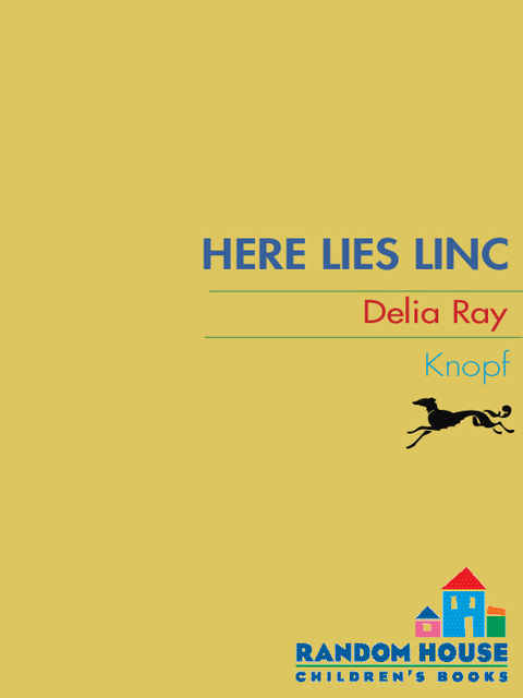 Cover image for book Here Lies Linc