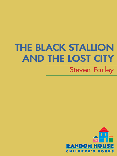 Cover image for book The Black Stallion and the Lost City