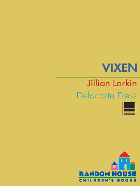 Cover image for book Vixen