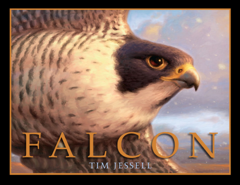 Cover image for book Falcon