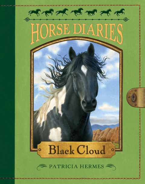 Cover image for book Horse Diaries #8: Black Cloud