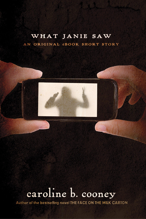 Cover image for book What Janie Saw