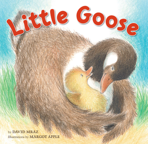 Cover image for book Little Goose