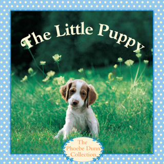 The Little Puppy