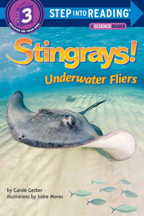Cover image for book Stingrays! Underwater Fliers