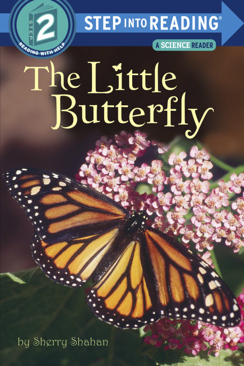 Cover image for book The Little Butterfly