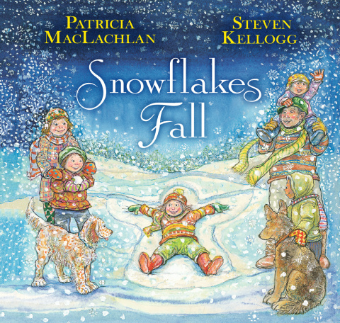 Cover image for book Snowflakes Fall