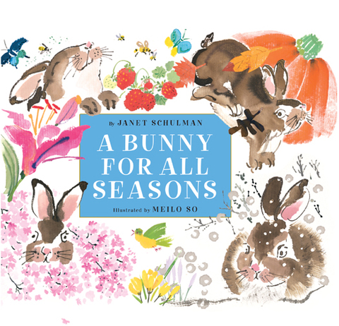Cover image for book A Bunny for All Seasons