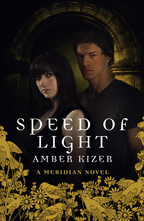 Cover image for book Speed of Light