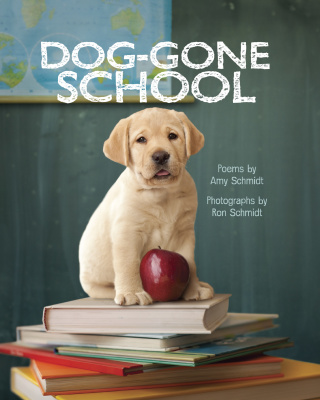 Dog-Gone School