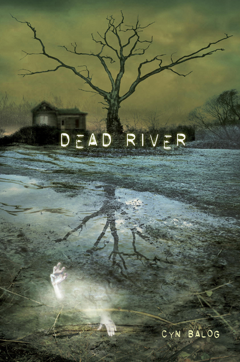 Cover image for book Dead River