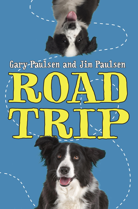Cover image for book Road Trip