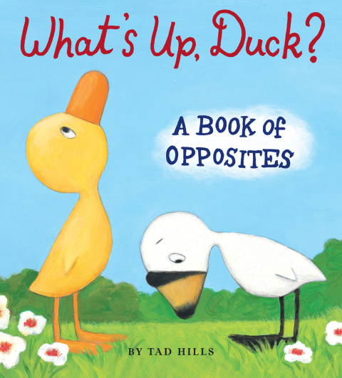Cover image for book What's Up, Duck?