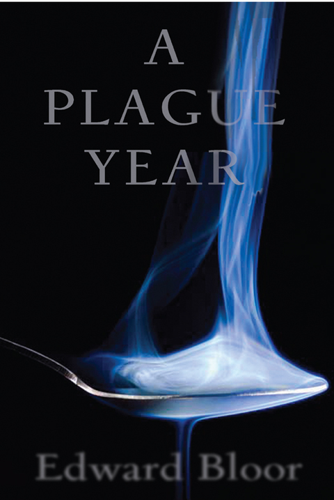 Cover image for book A Plague Year