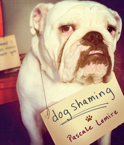 Cover image for book Dog Shaming