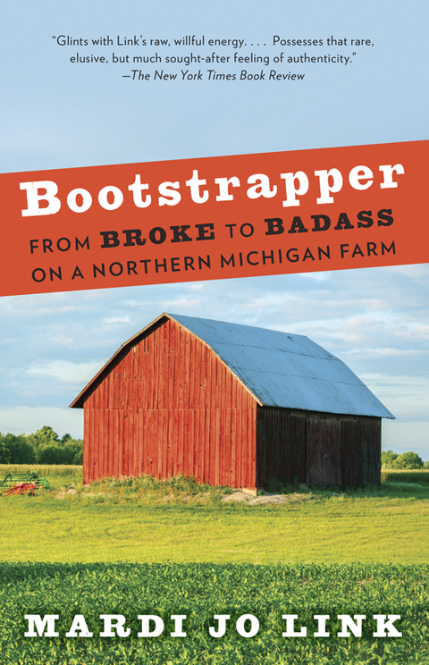 Cover image for book Bootstrapper