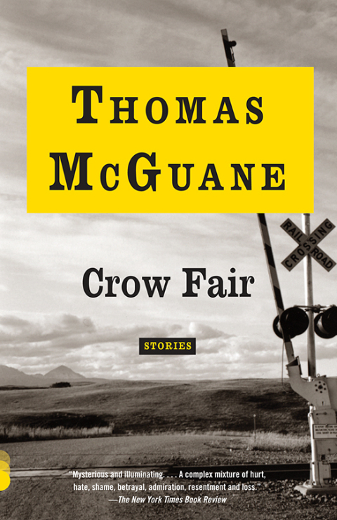 Cover image for book Crow Fair
