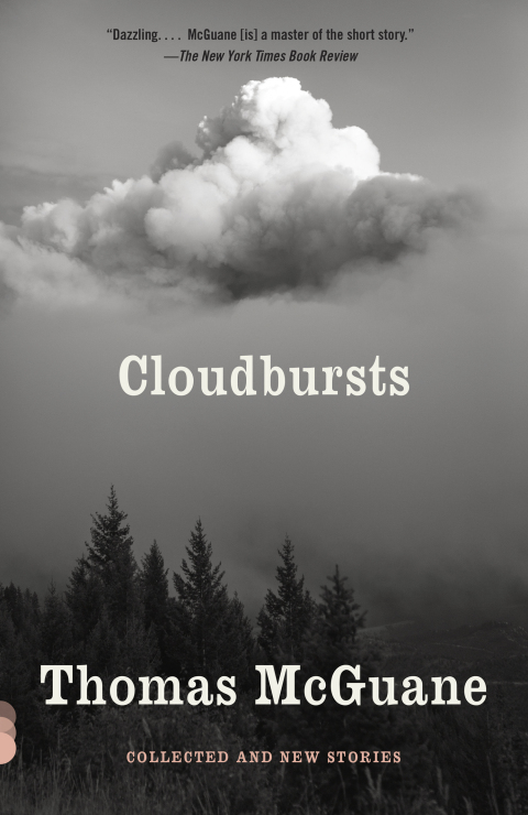 Cover image for book Cloudbursts