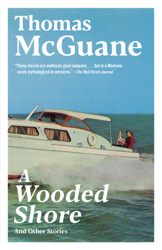 A Wooded Shore