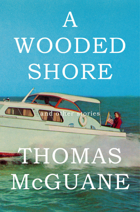 Cover image for book A Wooded Shore