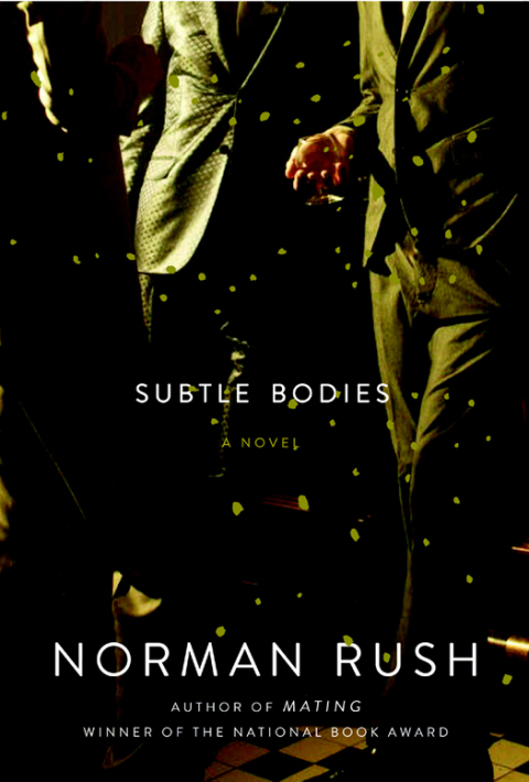 Cover image for book Subtle Bodies