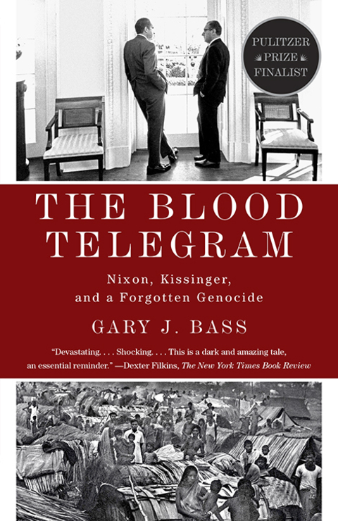 Cover image for book The Blood Telegram