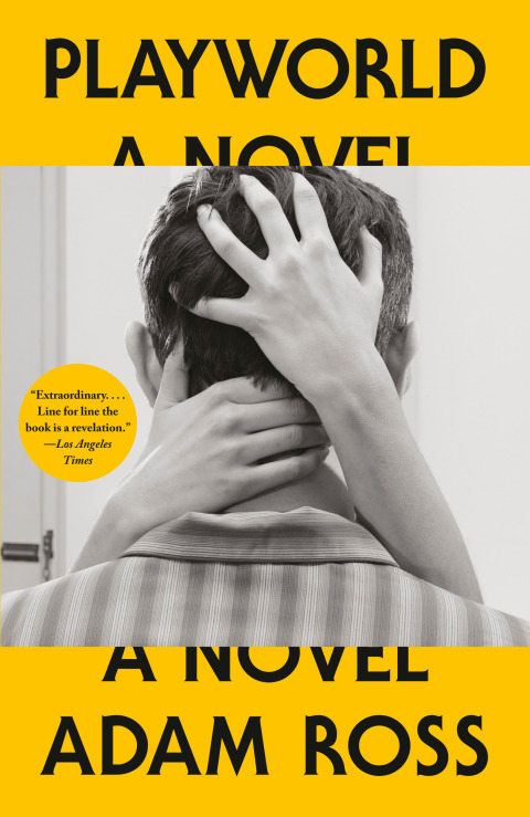 Cover image for book Playworld