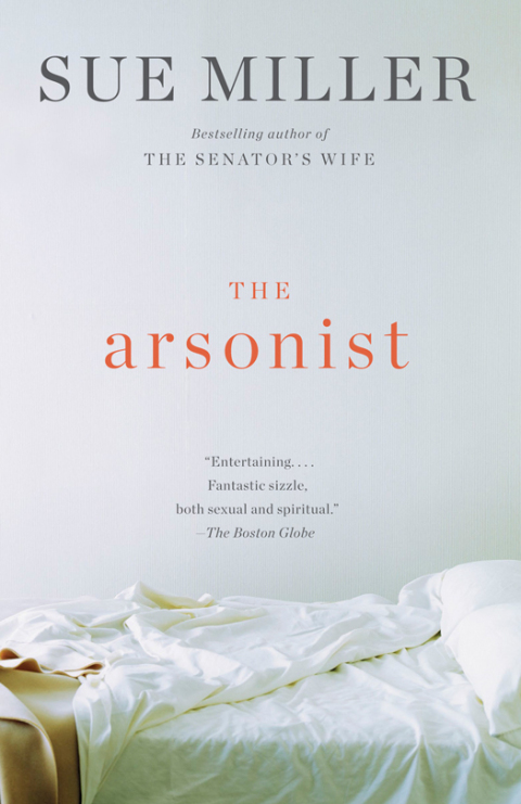 Cover image for book The Arsonist
