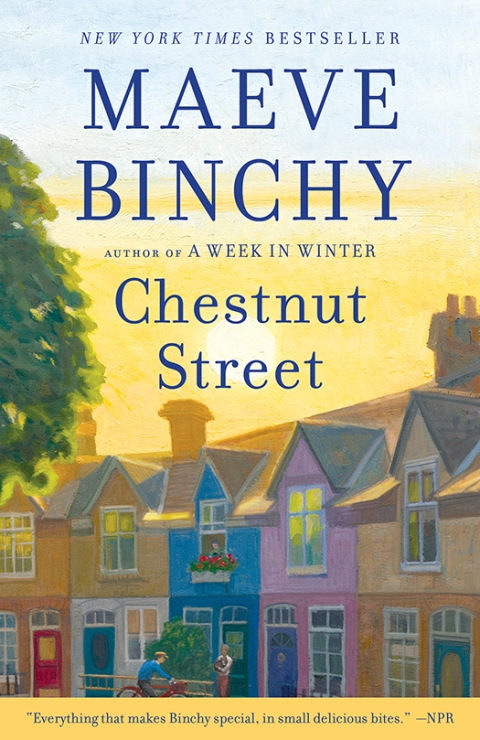 Cover image for book Chestnut Street