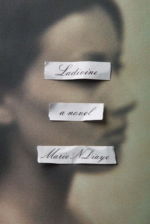 Cover image for book Ladivine