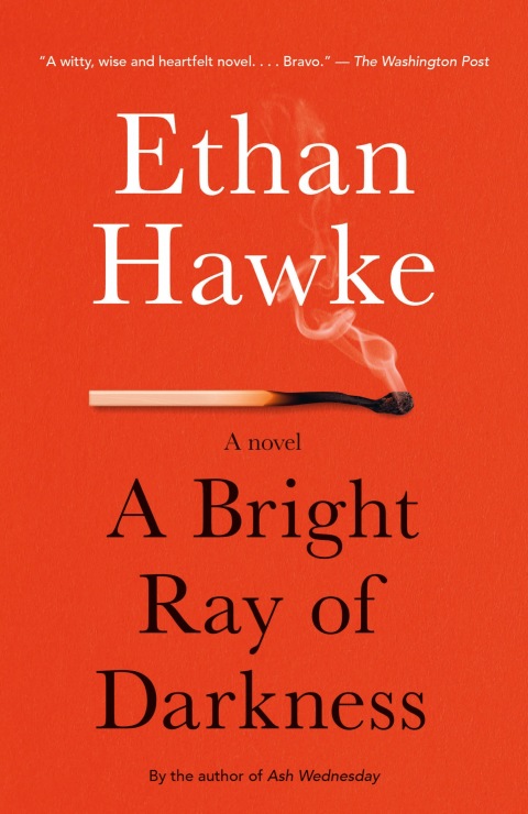 Cover image for book A Bright Ray of Darkness