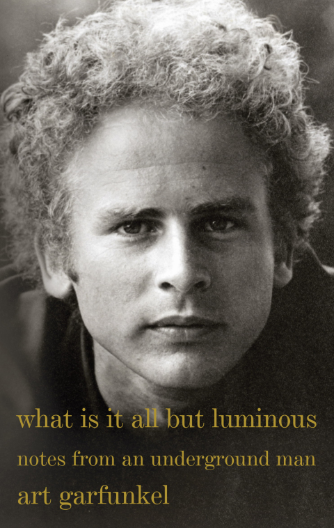 Cover image for book What Is It All but Luminous