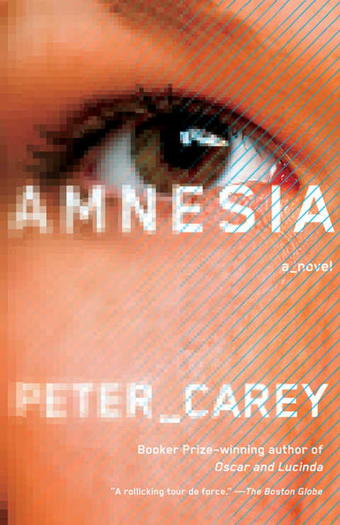 Cover image for book Amnesia