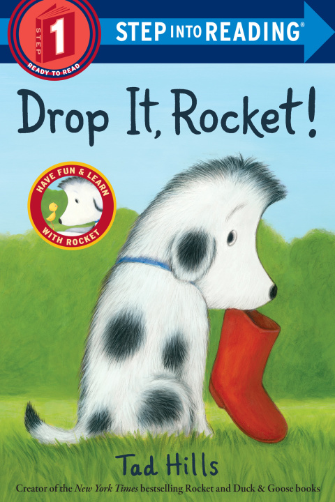 Cover image for book Drop It, Rocket!