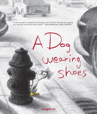 A Dog Wearing Shoes