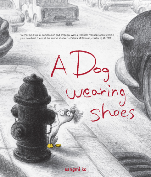 Cover image for book A Dog Wearing Shoes