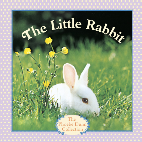 Cover image for book The Little Rabbit