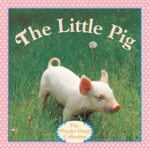 Cover image for book The Little Pig
