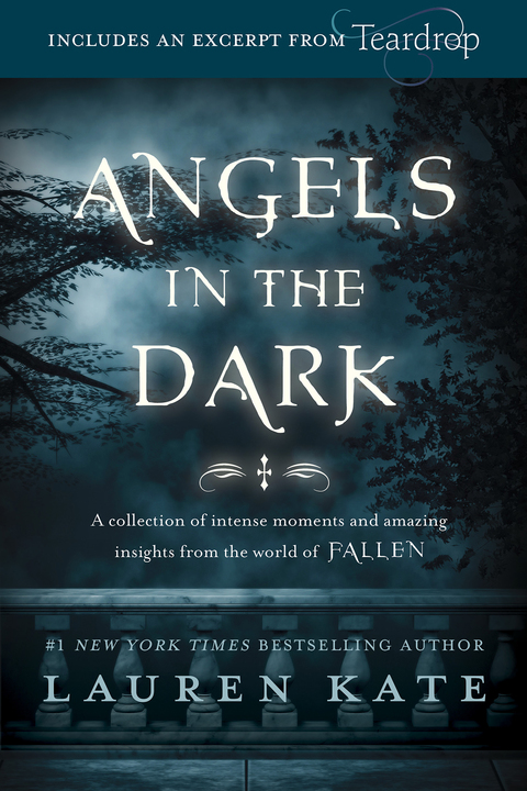 Cover image for book Fallen: Angels in the Dark