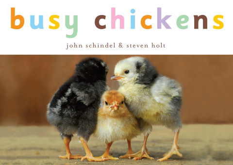Cover image for book Busy Chickens