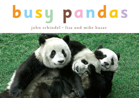 Cover image for book Busy Pandas