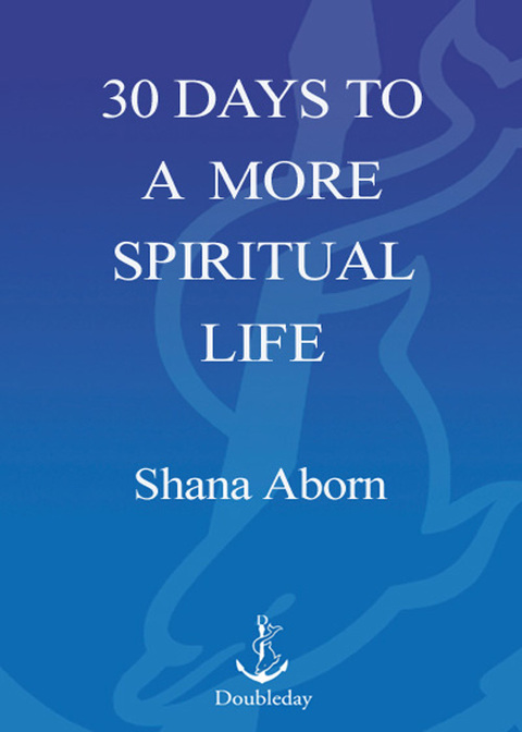Cover image for book 30 Days to a More Spiritual Life