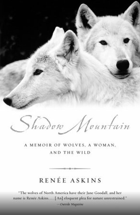 Cover image for book Shadow Mountain
