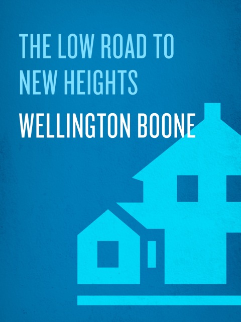 Cover image for book The Low Road to New Heights
