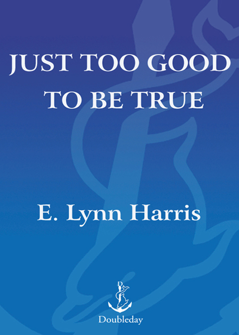 Cover image for book Just Too Good to Be True