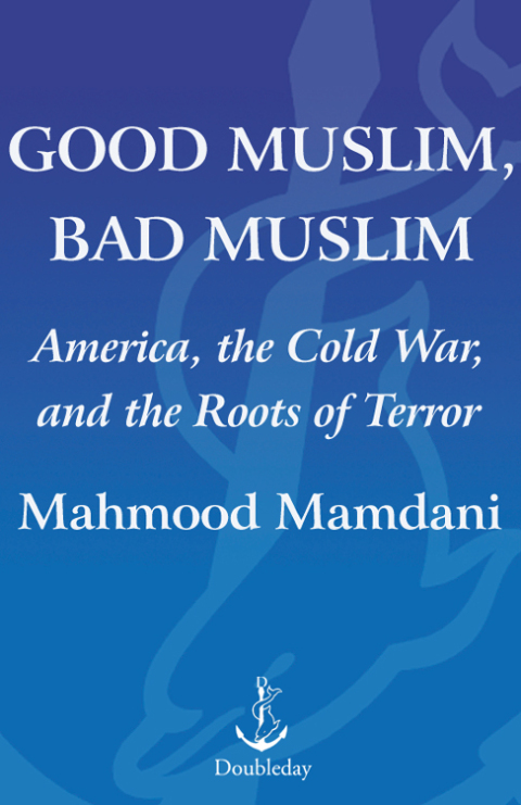 Cover image for book Good Muslim, Bad Muslim