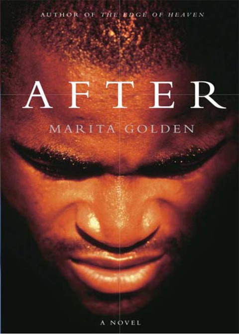 Cover image for book After